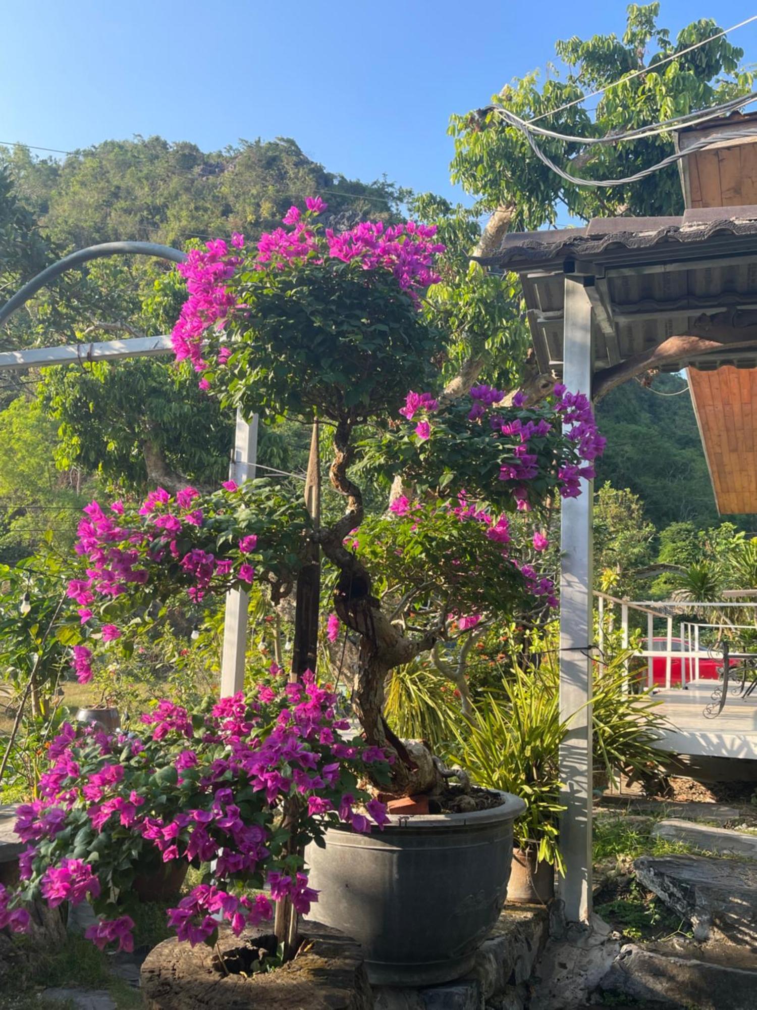 Cat Ba Love House Xuan Dam Екстериор снимка