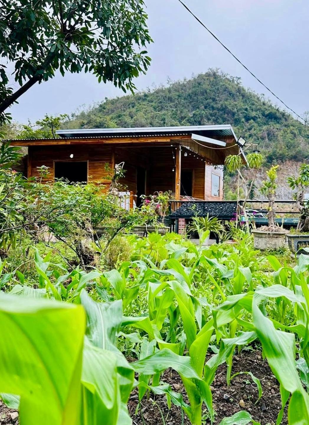 Cat Ba Love House Xuan Dam Екстериор снимка